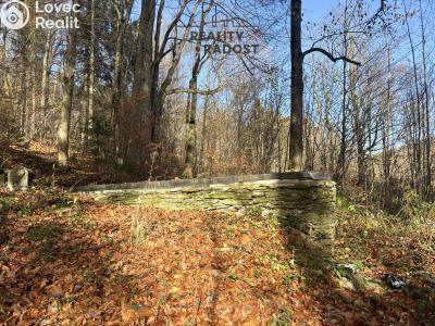 Prodej chaty Petrovice č. 3