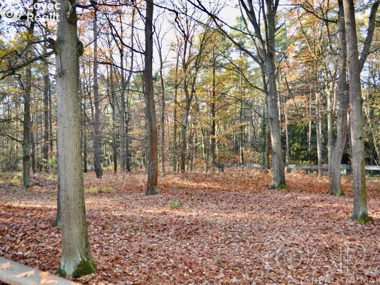Prodej rodinného domu Hradištko, Kersko 847 č. 8