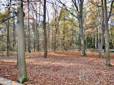 Prodej rodinného domu Hradištko, Kersko 847 č. 6