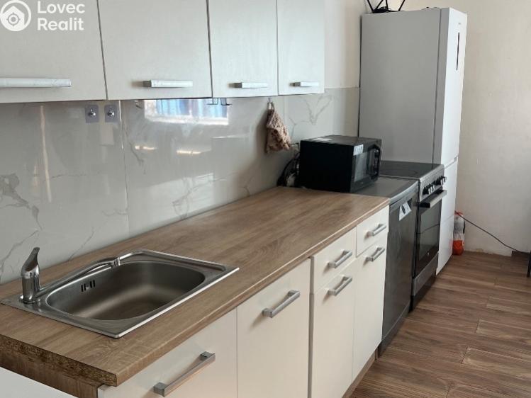 Prodej rodinného domu Trmice, U Mlýnského potoka č. 29