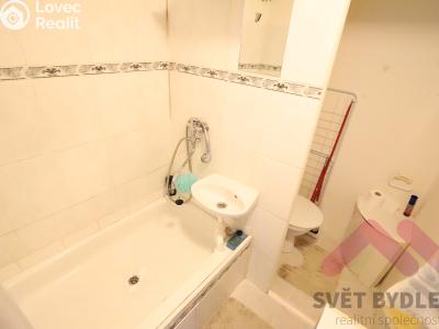 Prodej bytu 1+KK Říčany, U Vodojemu č. 6