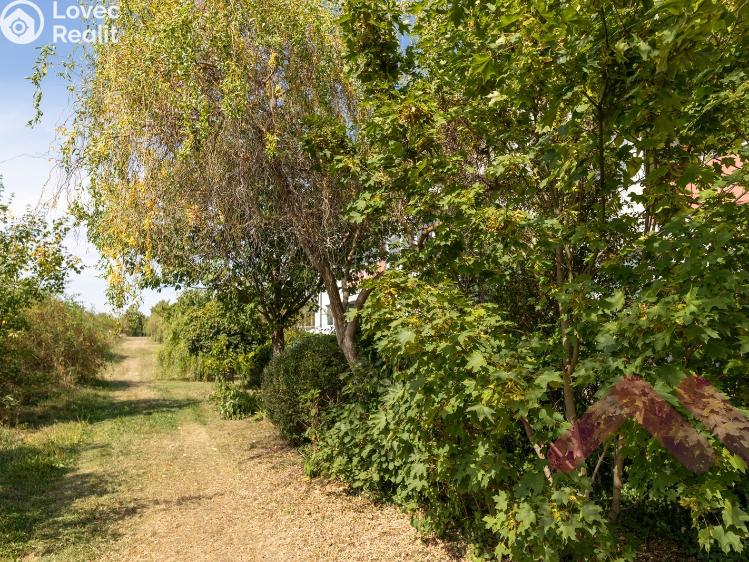 Pronájem bytu 3+KK Praha, V osikách 520/8 č. 26