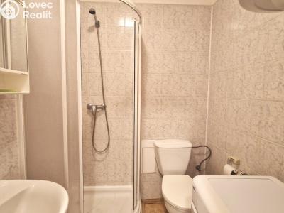 Rent apartment 1+KK Praha, Grafická č. 4