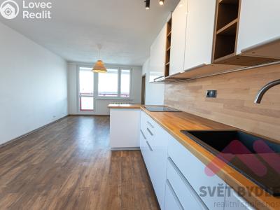 Pronájem bytu 2+KK Praha, Mezi školami č. 6