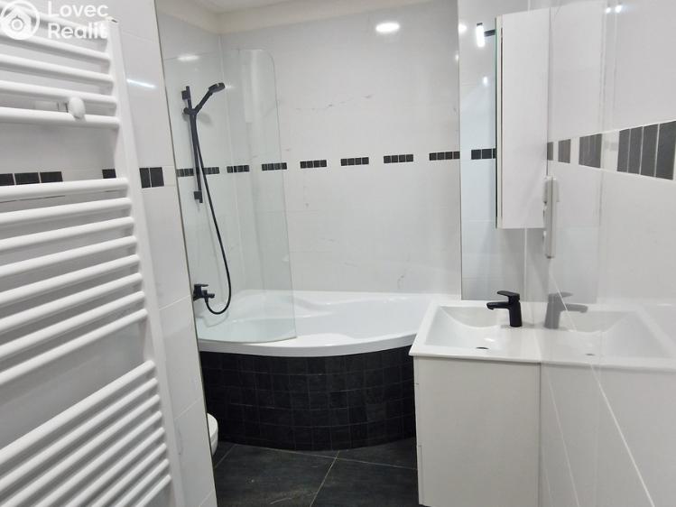 Pronájem bytu 3+KK Praha, Křížkovského č. 4