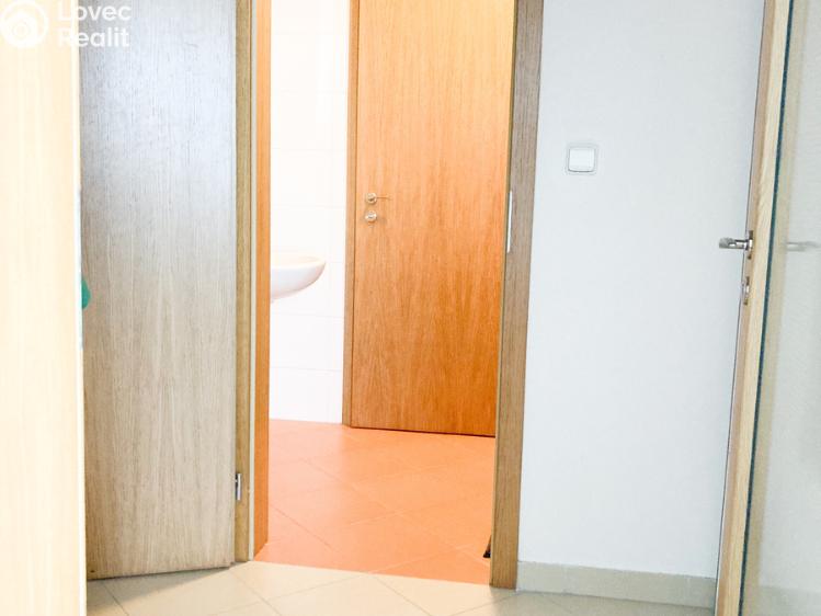 Pronájem bytu 1+KK Praha, Nademlejnská 1069/20 č. 9