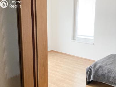 Оренда квартири 1+KK Praha, Nademlejnská č. 5