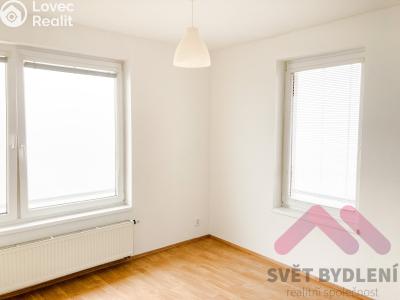 Аренда квартиры 1+KK Praha, Nademlejnská č. 2