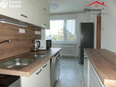 Pronájem bytu 3+1 Ústí nad Labem, Tolstého č. 3