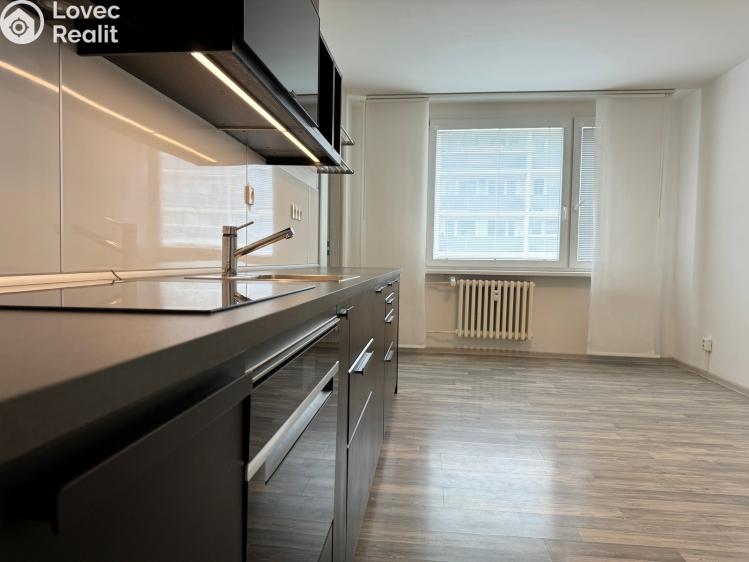 Pronájem bytu 4+KK Kladno, Děčínská 3213 č. 4