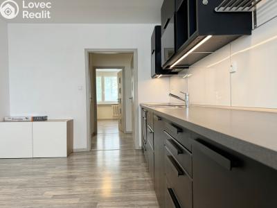 Rent apartment 4+KK Kladno, Děčínská 3213 č. 2