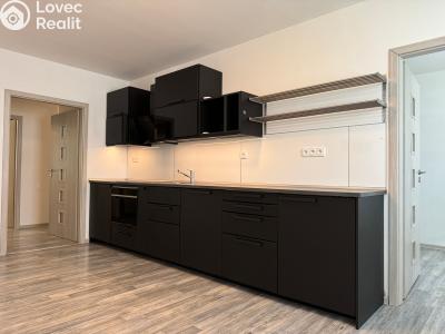 Rent apartment 4+KK Kladno, Děčínská 3213 č. 3