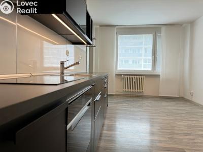 Rent apartment 4+KK Kladno, Děčínská 3213 č. 4