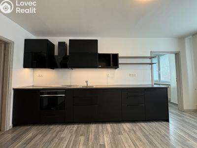 Rent apartment 4+KK Kladno, Děčínská 3213 č. 5