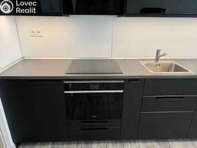 Rent apartment 4+KK Kladno, Děčínská 3213 č. 6