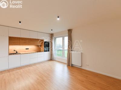 Rent apartment 3+KK Benešov, 102. pluku 2452 č. 1