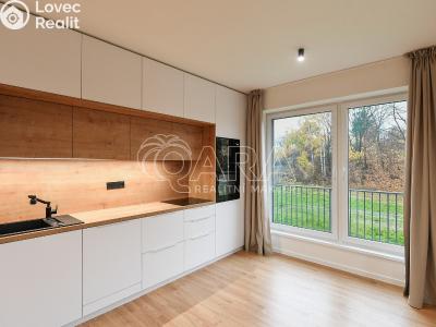 Rent apartment 3+KK Benešov, 102. pluku 2452 č. 5