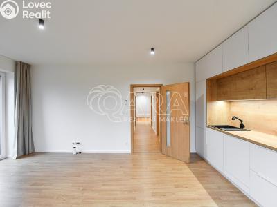 Rent apartment 3+KK Benešov, 102. pluku 2452 č. 6