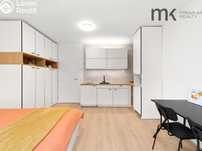 Оренда квартири 1+KK Praha, Na bitevní pláni č. 5