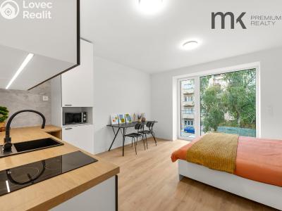 Rent apartment 1+KK Praha, Na bitevní pláni č. 2
