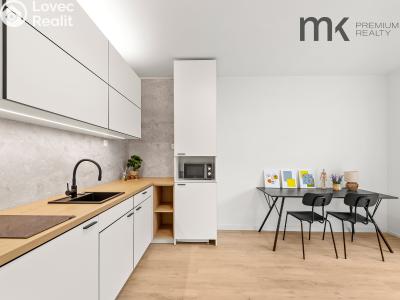 Rent apartment 1+KK Praha, Na bitevní pláni č. 3