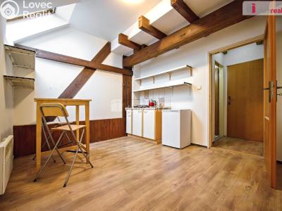 Rent apartment 1+KK Neratovice, Hlavní č. 3