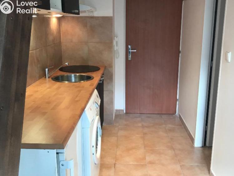 Pronájem bytu 1+KK Praha, Freyova č. 5