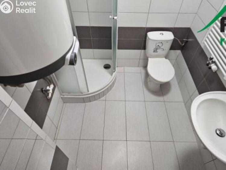 Pronájem bytu 1+KK Tachov, Rokycanova č. 4