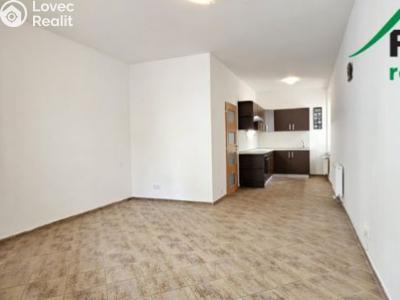 Pronájem bytu 1+KK Tachov, Rokycanova č. 3