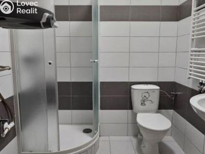 Pronájem bytu 1+KK Tachov, Rokycanova č. 6