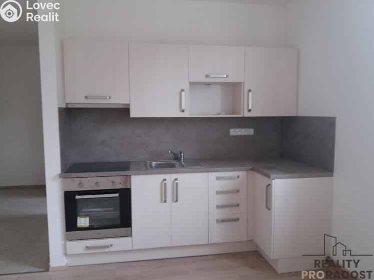 Pronájem bytu 3+KK Ledenice, Náměstí č. 1