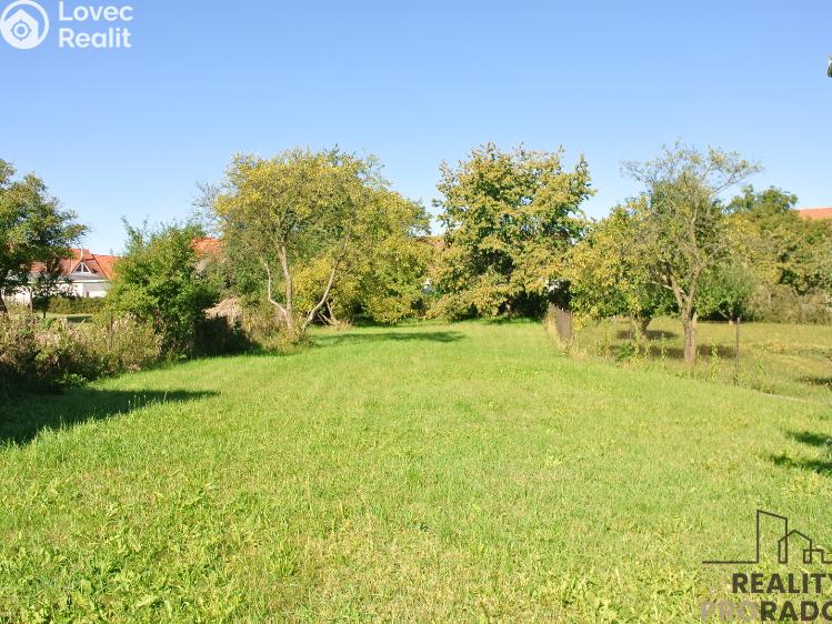 Pronájem bytu 3+KK Ledenice, Náměstí č. 6