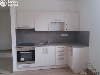 Pronájem bytu 3+KK Ledenice, Náměstí č. 1