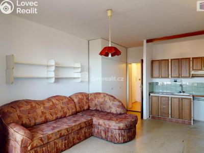 Sale apartment 1+KK Ostrava, Francouzská č. 4