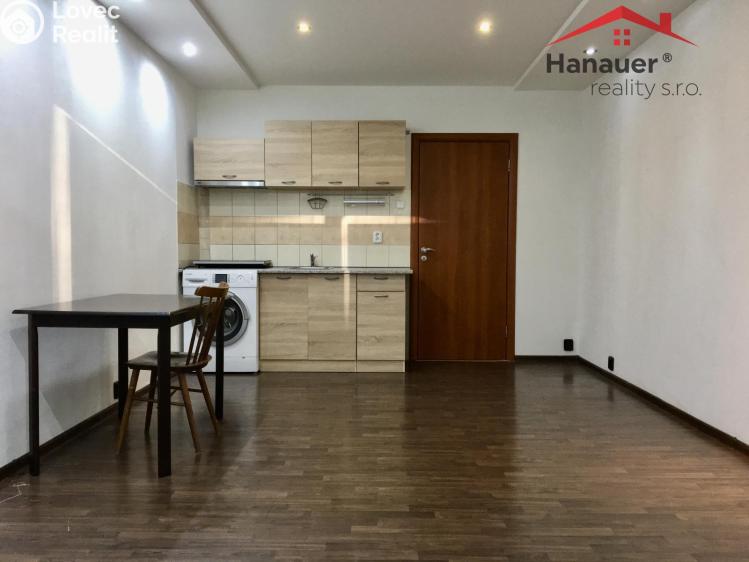 Pronájem bytu 1+KK Ústí nad Labem, Rozcestí č. 6