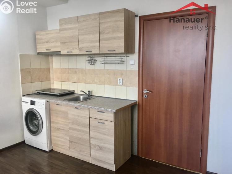 Pronájem bytu 1+KK Ústí nad Labem, Rozcestí č. 7