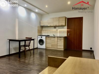 Pronájem bytu 1+KK Ústí nad Labem, Rozcestí č. 1