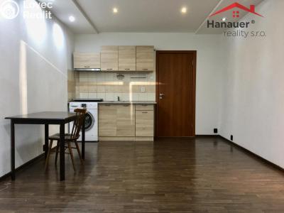 Pronájem bytu 1+KK Ústí nad Labem, Rozcestí č. 6