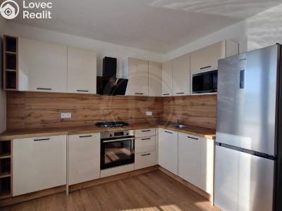 Pronájem bytu 1+1 České Budějovice, U Trojice č. 1