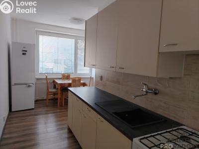 Pronájem bytu 2+1 Znojmo, Pražská č. 1