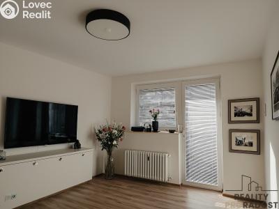 Pronájem bytu 2+1 Znojmo, Pražská č. 2