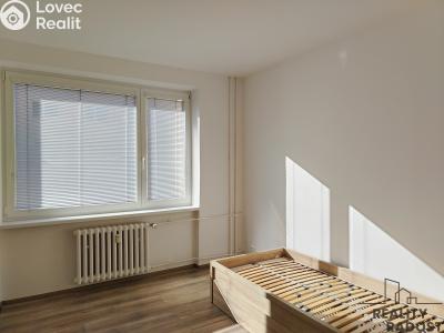 Pronájem bytu 2+1 Znojmo, Pražská č. 6