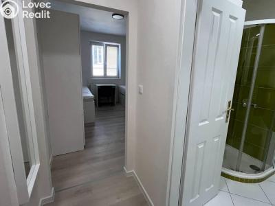 Аренда квартиры 1+KK Praha, Kotlaska č. 3