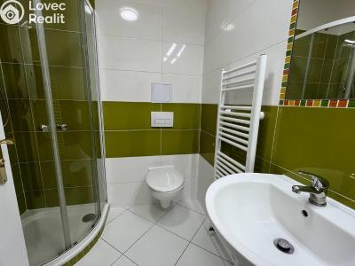 Аренда квартиры 1+KK Praha, Kotlaska č. 4