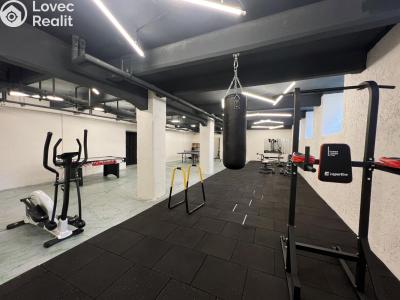 Аренда квартиры 1+KK Praha, Kotlaska č. 5