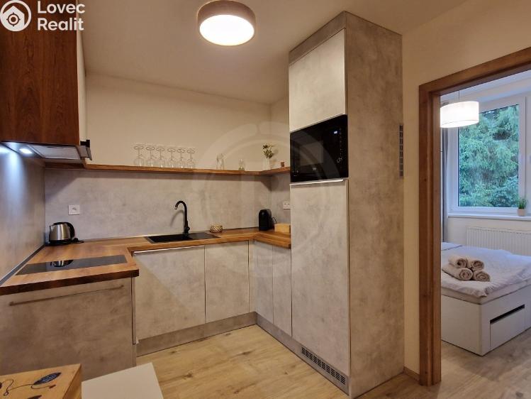 Продаж квартири 2+KK Benešov nad Černou č. 2