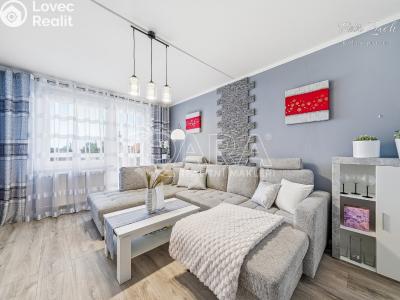 Prodej bytu 2+1 Tršice č. 3