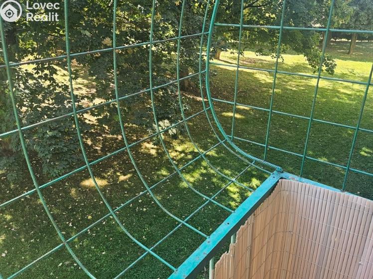 Pronájem bytu 2+1 Bílina, Sídliště SHD č. 13