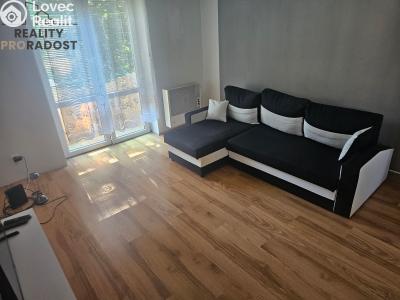 Pronájem bytu 2+1 Bílina, Sídliště SHD č. 2