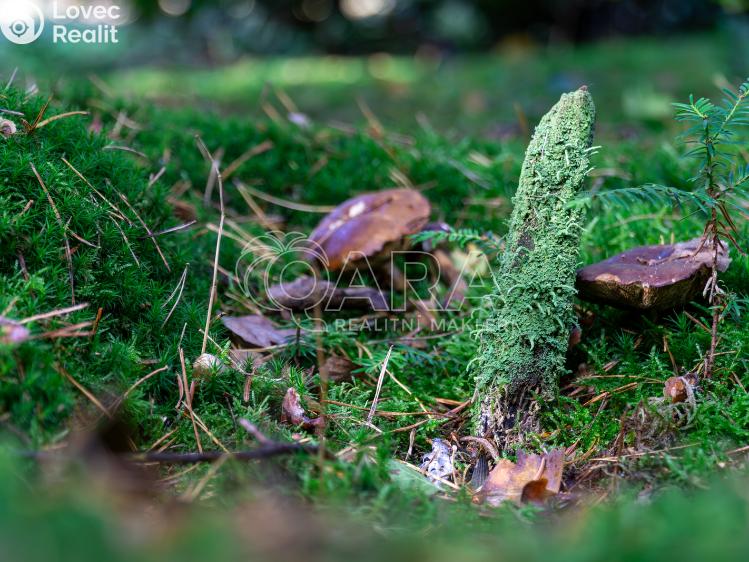 Prodej chaty Hradištko, Kersko 523 č. 20